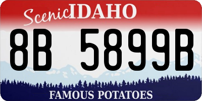 ID license plate 8B5899B