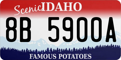 ID license plate 8B5900A