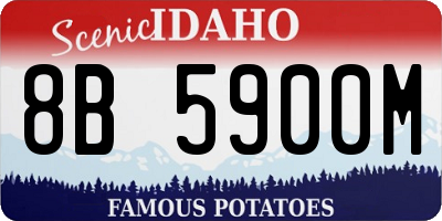 ID license plate 8B5900M