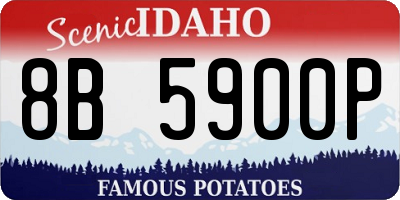 ID license plate 8B5900P