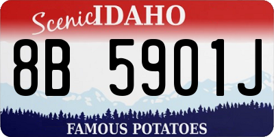 ID license plate 8B5901J