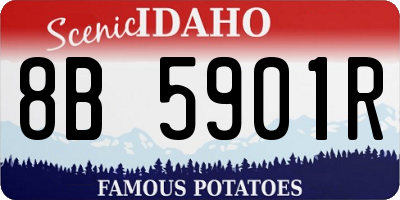 ID license plate 8B5901R