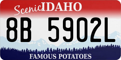 ID license plate 8B5902L