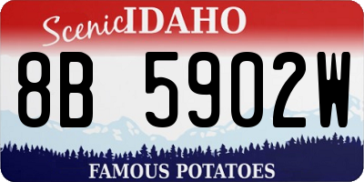 ID license plate 8B5902W