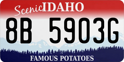 ID license plate 8B5903G