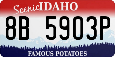 ID license plate 8B5903P