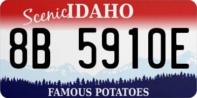 ID license plate 8B5910E