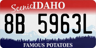 ID license plate 8B5963L