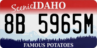 ID license plate 8B5965M