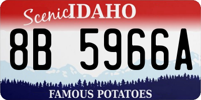 ID license plate 8B5966A