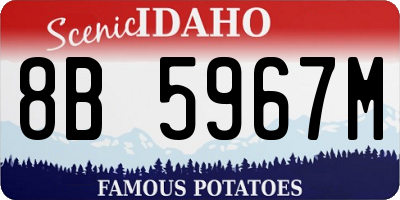 ID license plate 8B5967M