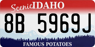 ID license plate 8B5969J