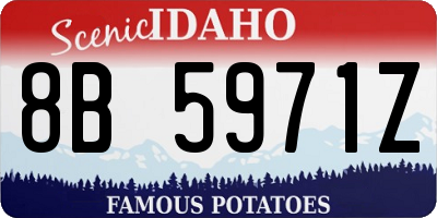 ID license plate 8B5971Z