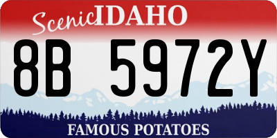 ID license plate 8B5972Y