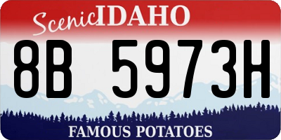 ID license plate 8B5973H