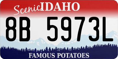 ID license plate 8B5973L