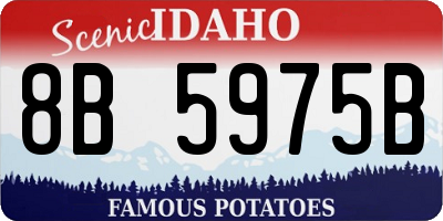 ID license plate 8B5975B