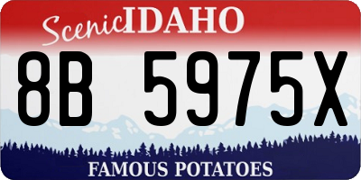 ID license plate 8B5975X