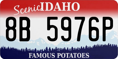 ID license plate 8B5976P