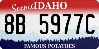 ID license plate 8B5977C