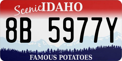 ID license plate 8B5977Y