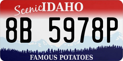 ID license plate 8B5978P