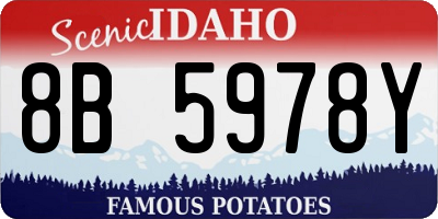 ID license plate 8B5978Y