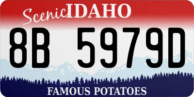 ID license plate 8B5979D