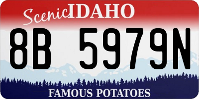 ID license plate 8B5979N