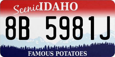 ID license plate 8B5981J