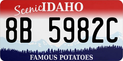 ID license plate 8B5982C