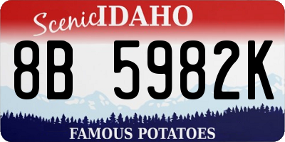ID license plate 8B5982K