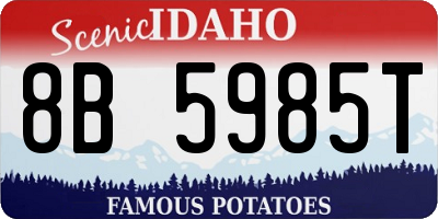 ID license plate 8B5985T