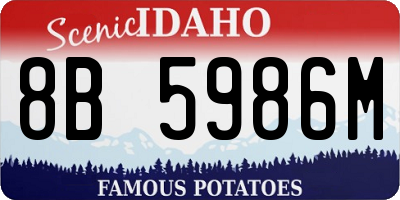 ID license plate 8B5986M