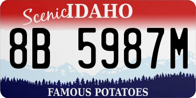 ID license plate 8B5987M