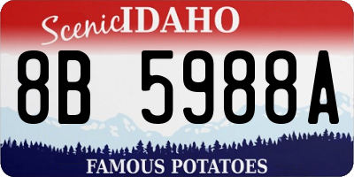 ID license plate 8B5988A