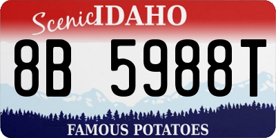 ID license plate 8B5988T