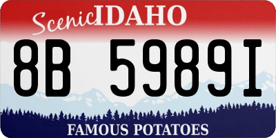 ID license plate 8B5989I