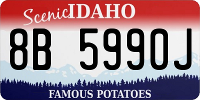 ID license plate 8B5990J