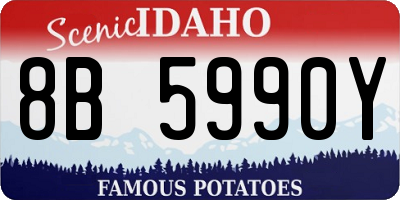 ID license plate 8B5990Y