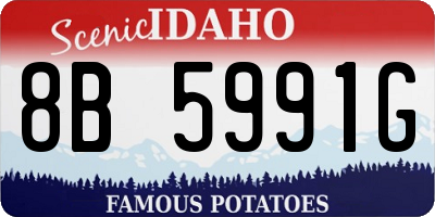 ID license plate 8B5991G