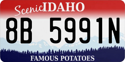 ID license plate 8B5991N