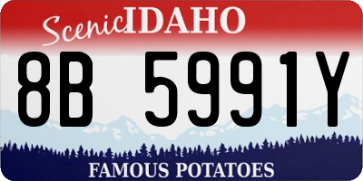 ID license plate 8B5991Y