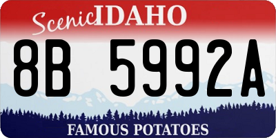 ID license plate 8B5992A