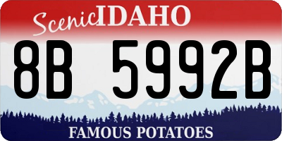 ID license plate 8B5992B