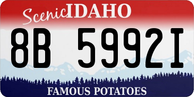ID license plate 8B5992I