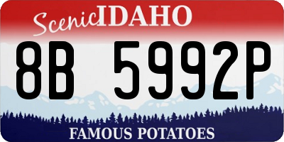 ID license plate 8B5992P
