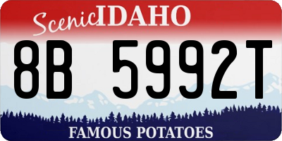 ID license plate 8B5992T