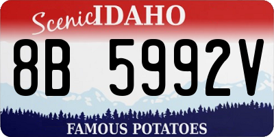 ID license plate 8B5992V