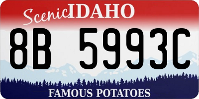 ID license plate 8B5993C